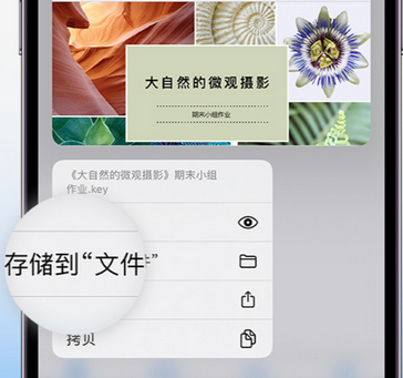 雨花台apple维修中心分享iPhone文件应用中存储和找到下载文件