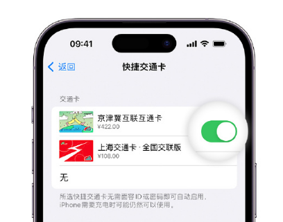 雨花台apple维修点分享iPhone上更换Apple Pay快捷交通卡手绘卡面 