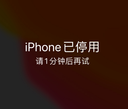 雨花台苹果手机维修分享:iPhone 显示“不可用”或“已停用”怎么办？还能保留数据吗？ 