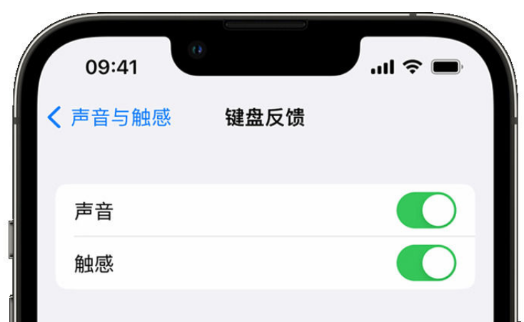 雨花台苹果手机维修分享iPhone 14触感键盘使用方法 