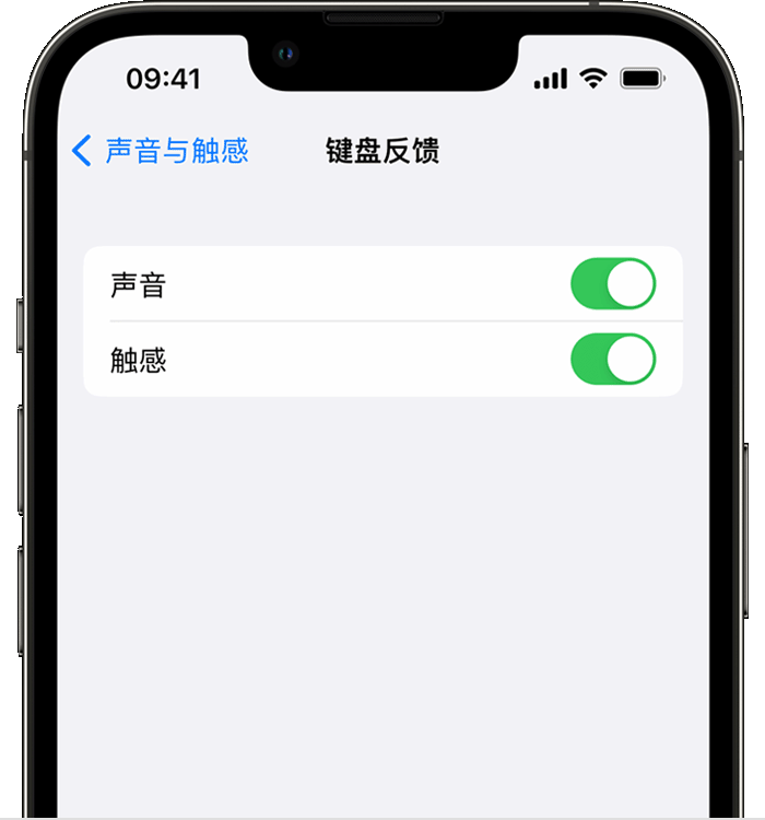 雨花台苹果14维修店分享如何在 iPhone 14 机型中使用触感键盘 