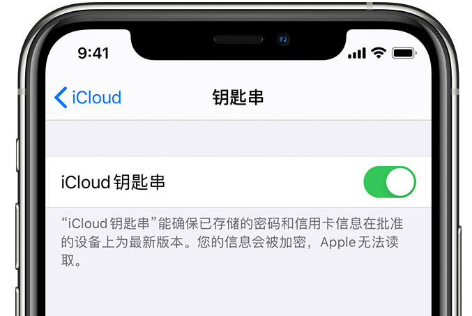 雨花台苹果手机维修分享在 iPhone 上开启 iCloud 钥匙串之后会储存哪些信息 