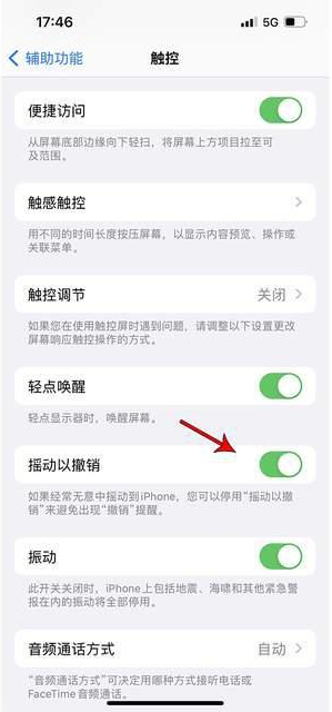 雨花台苹果手机维修分享iPhone手机如何设置摇一摇删除文字 